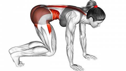 Растяжка всего Тела (упражнения на растяжку)