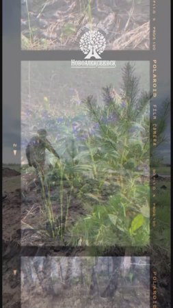 Весна в Новоалексеевске. НСО. ИЖС. Земельные участки в экологически чистом районе.