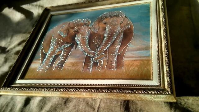 Шикарные СЛОНИКИ )) смотреть онлайн