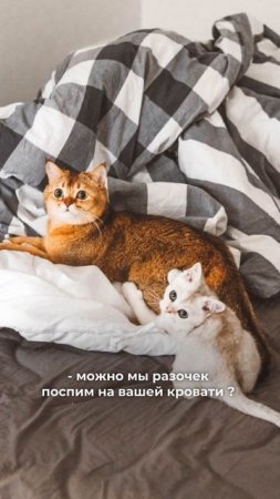 Мы вас любим. Особенно, когда вы уходите