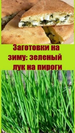 Начинаю делать заготовки на зиму - зеленый лук на пироги!