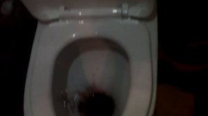 ПОНОС В ТУАЛЕТЕ