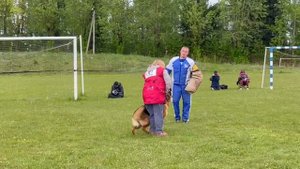 2 Отл. Диктум Фактум ВИЕСЛАВА +++ №82 / КЧК+ БОРИСОВ (BY) 17 мая`25 M.Jovovic Моно нем.овч.