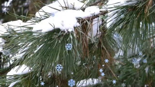 6Б - Мой класс как он есть.mpg смотреть онлайн