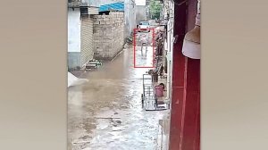 ОНА НЕ ЗНАЛА, ЧТО ЕЁ СНИМАЕТ КАМЕРА, И СДЕЛАЛА ЭТО.