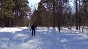 Новосибирск Сноубордисты Лыжи Парки 20 марта 2024 г.