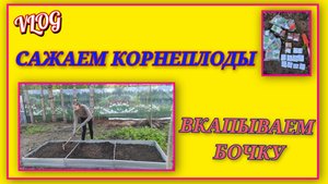 🍒 VLOG: Сажаем корнеплоды/ Вкапываем бочку/ Мини парник "Бабочка"/ Майя беглянка
