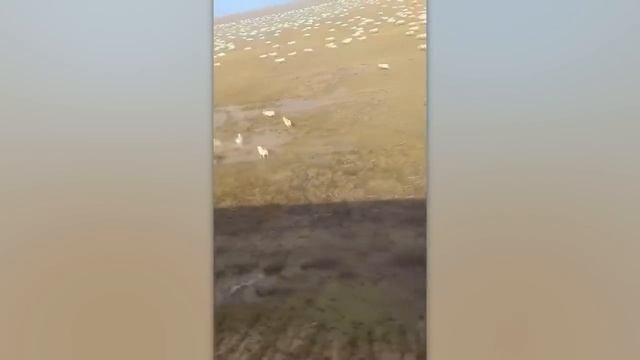 200 НЕВЕРОЯТНЫХ МОМЕНТОВ, СНЯТЫХ НА КАМЕРУ.