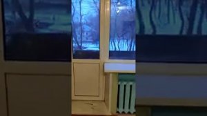 МО, г. Балашиха, с. Новый Милет, ул. Парковая, д.5, кв. 24