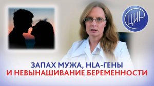 Запах мужа, HLA-гены и замершая беременность на сроке 15-16 недель. Дрожжина А.И.