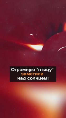 Огромную "птицу" заметили над солнцем!