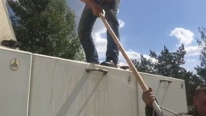 привоз карпа на большой водоём