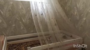 Переехали из квартиры в частный дом в Севастополе.Пер?