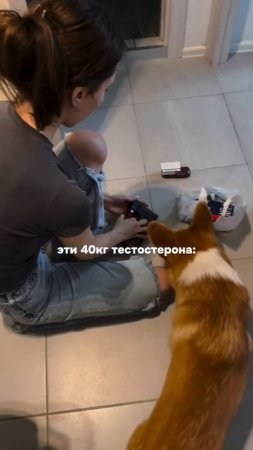 Эти 40 кг тестостерона