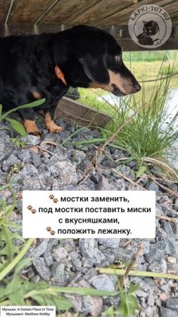 технадзор