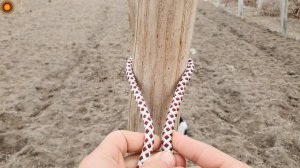 unusual knot! You will surely be amazed by these knots