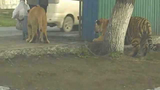 Мы с тобой одной крови смотреть онлайн