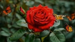 ДОБРОЕ УТРО,БЛИ3КИЙ ЧЕЛОВЕК!