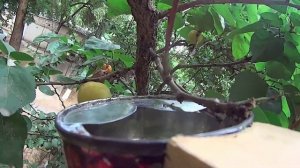 Охота на урюк 2022