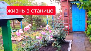 509 🏠 Переехали из города в станицу.Опять Одна на хозяйстве. Лучшее Тесто для вареников.