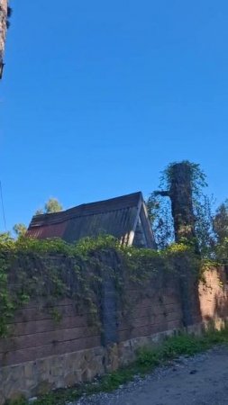 Дорога к морю ои гостевого дома в посёлке Ллзаа, Пицунда