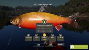 Русская рыбалка 4 Голец Куорский на озере Куори