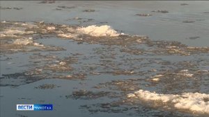 Теплоход ''Капитан Сотников'' вышел на пассажирскую ли?