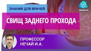Профессор Нечай И.А.: Свищ заднего прохода