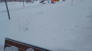 Обзор ЖК Полис Лаврики | ЖК Новые Горизонты | Новые Лав?