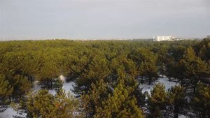 Зимний лес, улица Соборная. Новая Каховка с высоты пти?