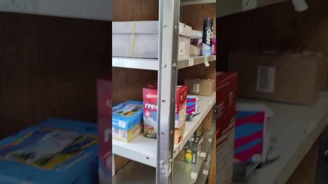 OZON @ Ozon Банк @ Моя Жизнь Кино  @ Музей Псов