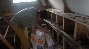 Первое ЯЙЦО  - благодарность кур за их безопасность от ястребов.