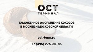 Таможенное оформление кокосов