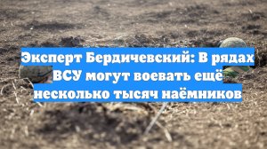 Эксперт Бердичевский: В рядах ВСУ могут воевать ещё несколько тысяч наёмников