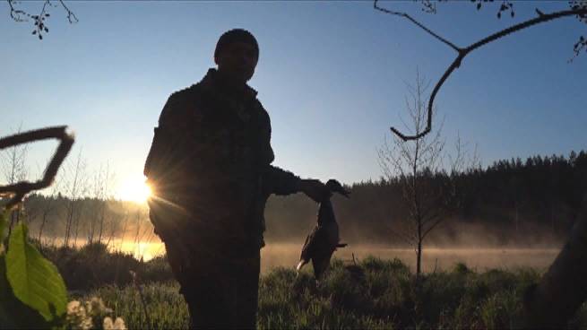 Охота на селезня с подсадной 2025 смотреть онлайн