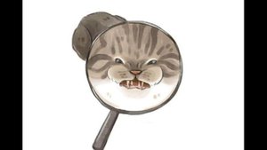 20 смешных мемов с котами, нарисованные акварелью в стиле до и после