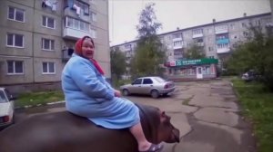 Как бабуля бегемота оседлала(нейросеть)