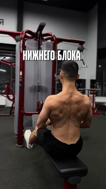 Какие упражнения дают глубину спине смотреть онлайн