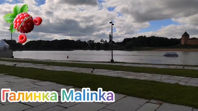 Лиса в Америке /Лицемерие зашкаливает /Обзор /Жизнь в А