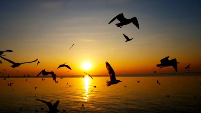 Работает на 100  Мощная медитация на ОТПУСКАНИЯ прошло?