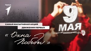 Акция «Окна Победы» объединила Первых в год 80-летия Великой Победы