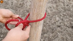 3 world famous secret knots