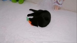 Самвел Адамян и не подозревает,что киевская квартира ?