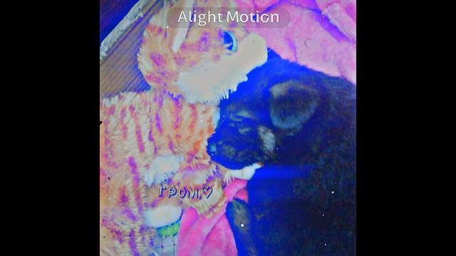 ленивое название и описание|| просто посмотри видео смотреть онлайн