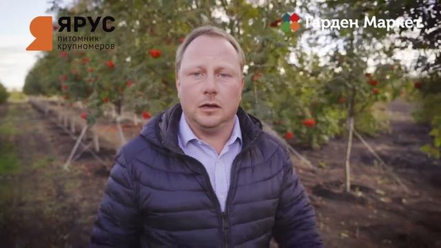 Ролик о питомнике Ярус