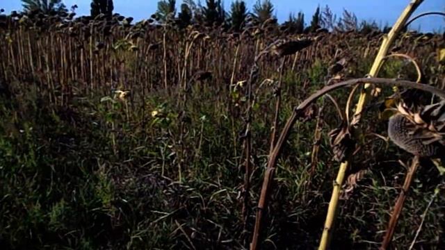 КУПИЛ КВАРТИРУ НЕДВИЖИМОСТЬ ПЕРЕЕЗЖАЮ