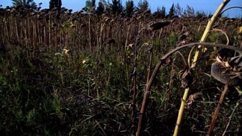 КУПИЛ КВАРТИРУ НЕДВИЖИМОСТЬ ПЕРЕЕЗЖАЮ