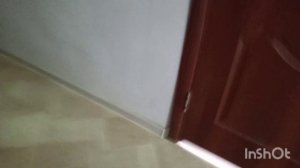 Играем в прятки часть первая