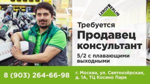 ТРАНСМЕДИА - Леруа Мерлен Вакансии Москва