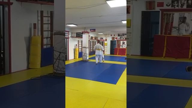 Сдача на 4 кю (оранжевый) пояс в дзюдо смотреть онлайн